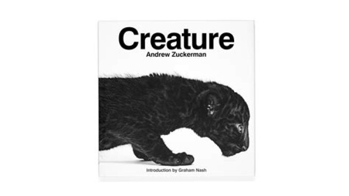 Andrew Zuckerman Net Worth