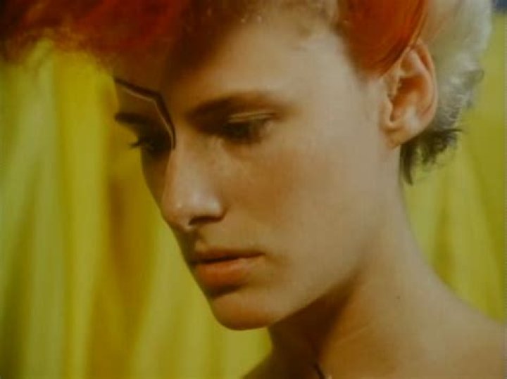 Anne Carlisle Net Worth