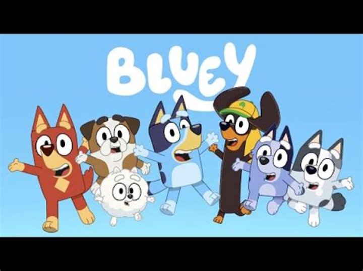 Bluey Net Worth