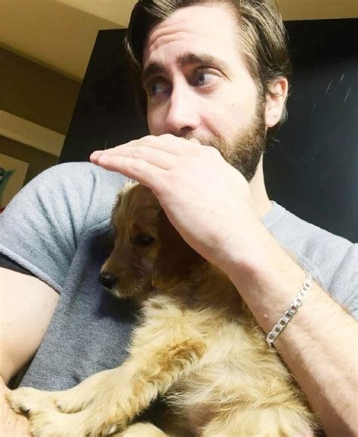 Brett Anderson Net Worth