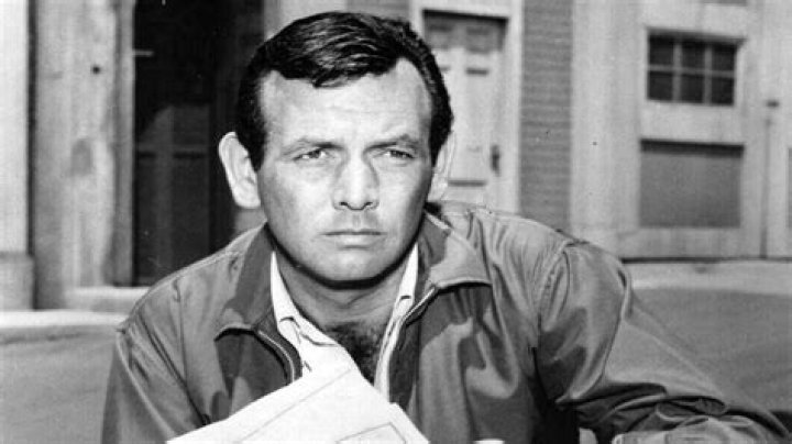 David Janssen Net Worth