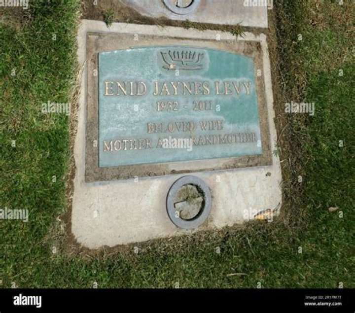 Enid Jaynes Net Worth