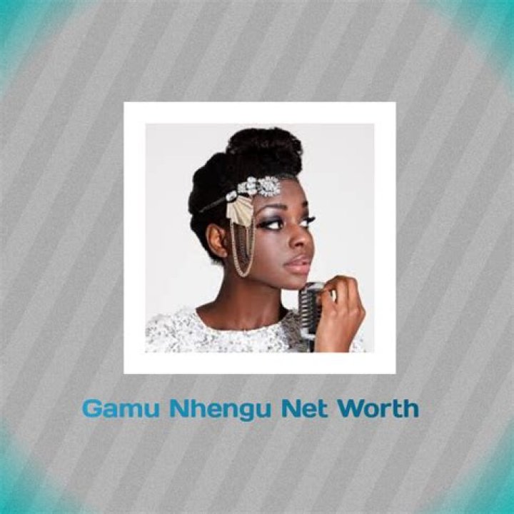 Gamu Nhengu Net Worth