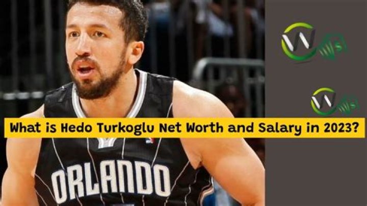 Hedo Türkoğlu Net Worth