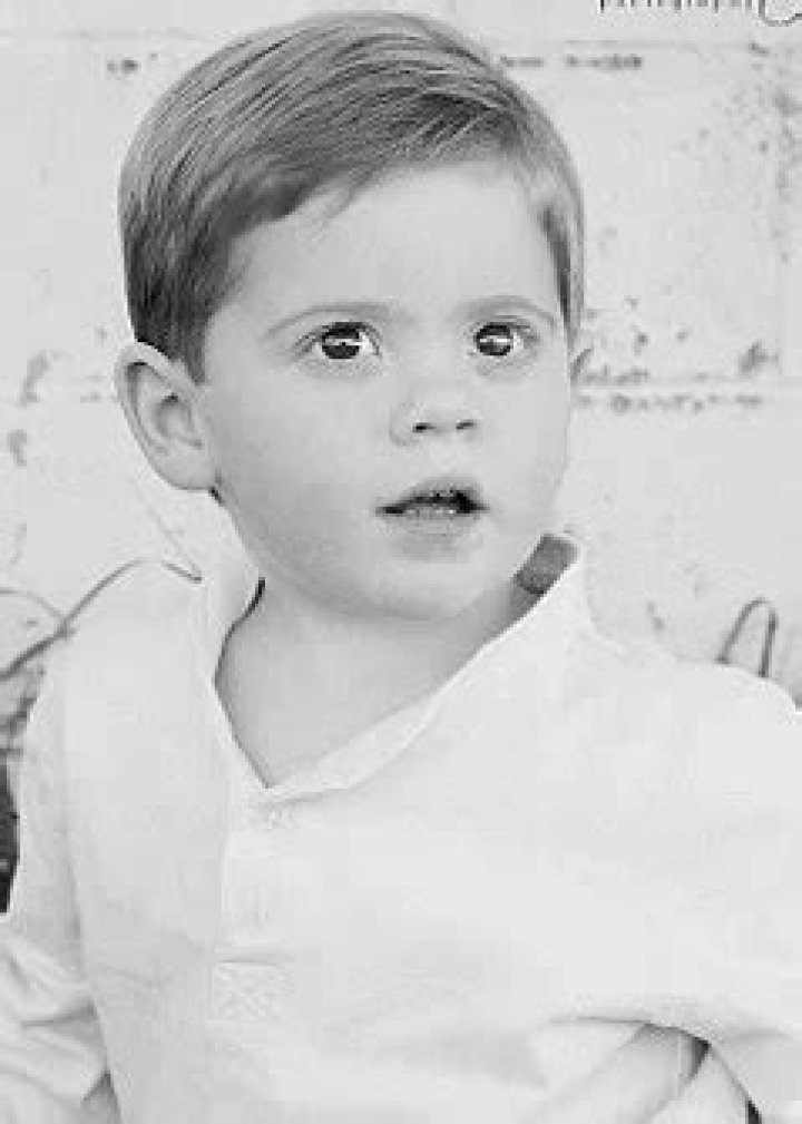 Joseph Levinson Net Worth