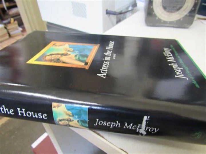 Joseph McElroy Net Worth