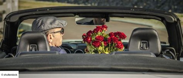 Kathleen Denson Net Worth