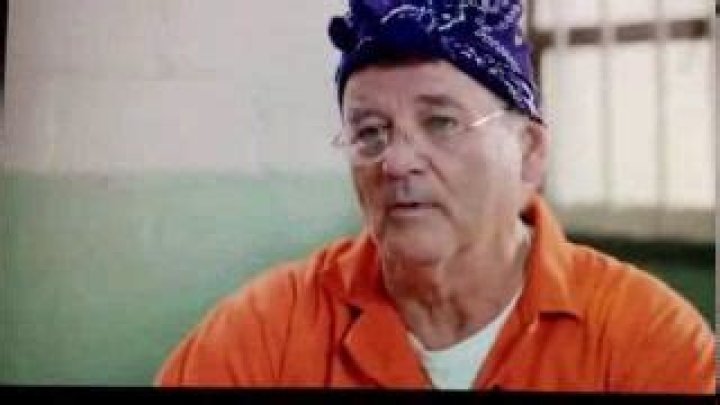 Matt Malloy Net Worth