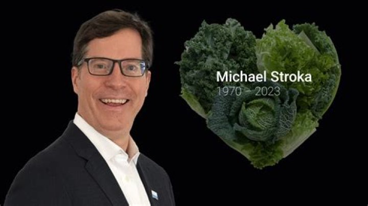 Michael Stroka Net Worth