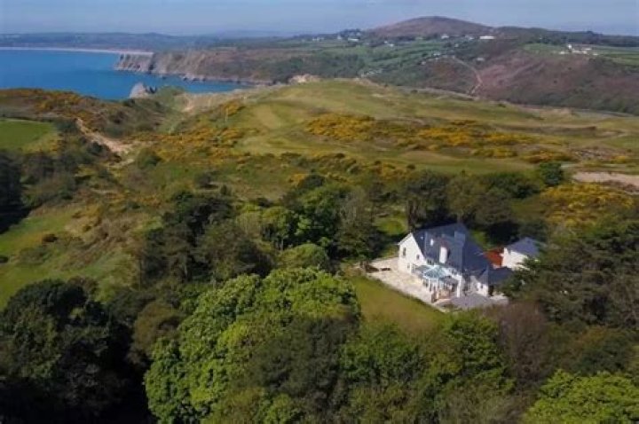 Myfanwy Talog Net Worth