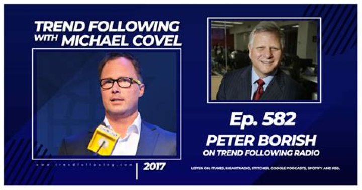 Peter Borish Net Worth