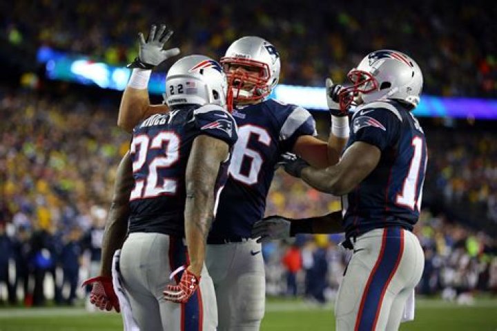 Stevan Ridley Net Worth