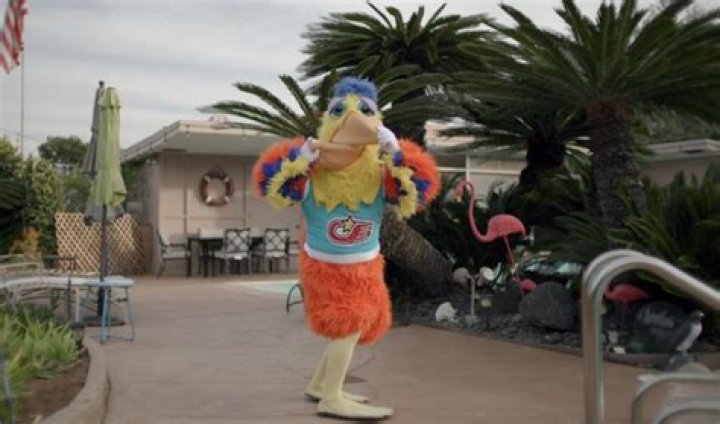 Ted Giannoulas Net Worth