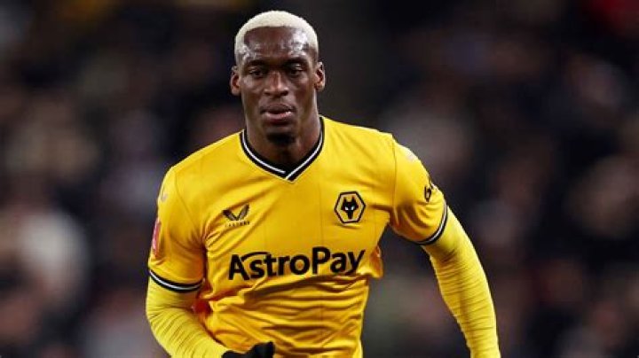 Toti Levine Net Worth