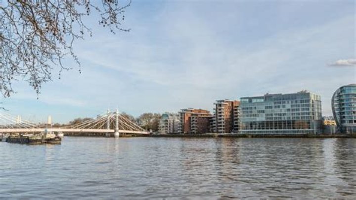 Wieger Windhorst Net Worth